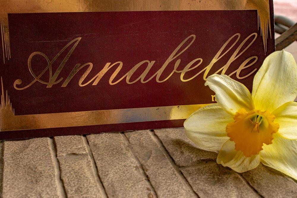 Annabelle Отель Odesa Exterior foto